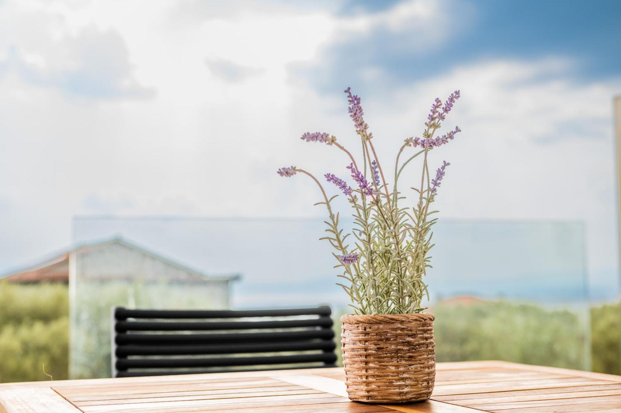 Petradi Suites Kalamata Exterior photo